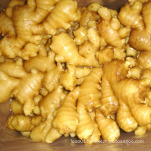 New Crop Fresh Good Quality Ginger